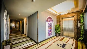 A hotel lobby with a striped carpet, an elevator, and a wall-mounted plant.