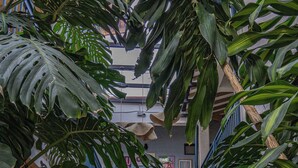 Un edificio de varios niveles con un balcón azul, rodeado de exuberante vegetación tropical.