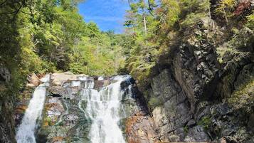 Ein Wasserfall, umgeben von felsigem Gelände und dichtem Grün.