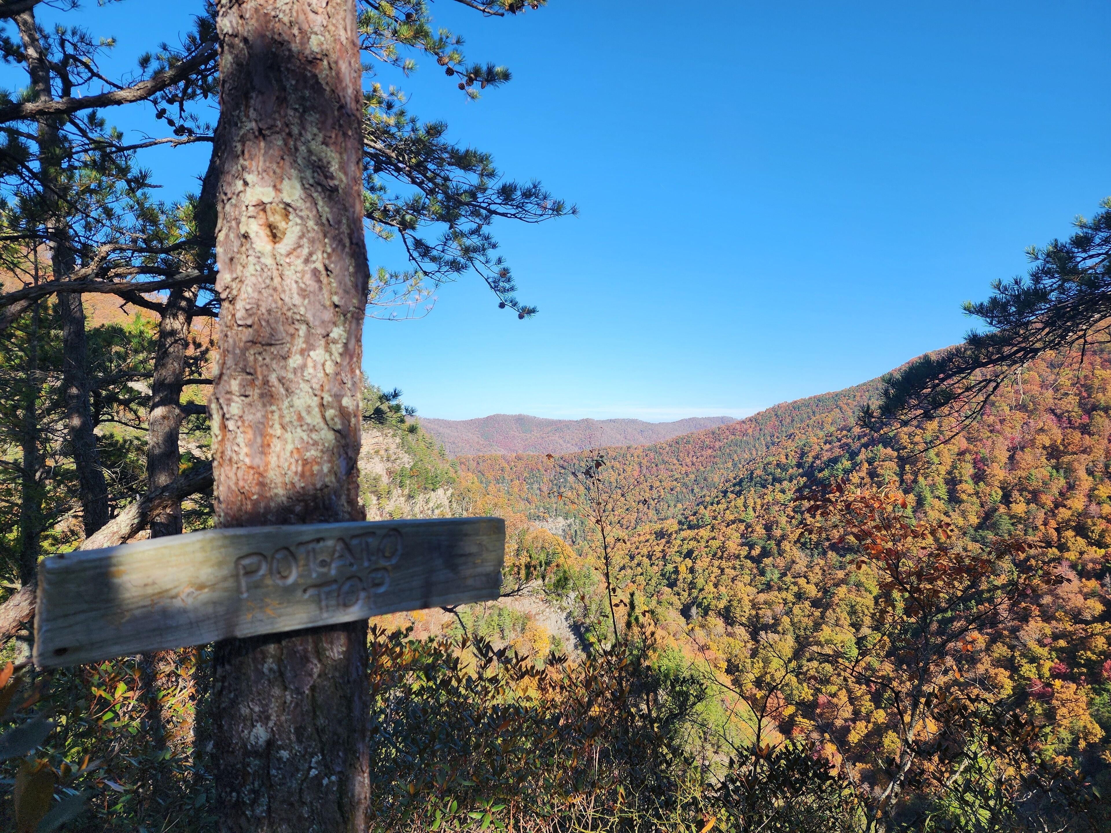 A wooden signpost with "POWDER SPRINGS" engraved, surrounded by autumn-colored trees and a clear blue sky.