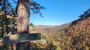 A wooden signpost with "POWDER SPRINGS" engraved, surrounded by autumn-colored trees and a clear blue sky.