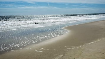 Playa en los alrededores