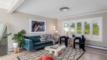 Télévision, cheminée, livres, médiathèque