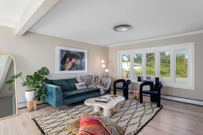 Télévision, cheminée, livres, chaîne hi-fi