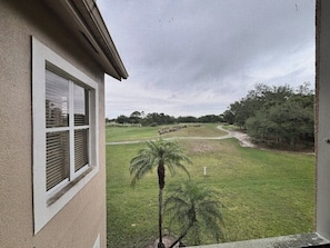 A house with a large window overlooking a grassy yard with a palm tree.