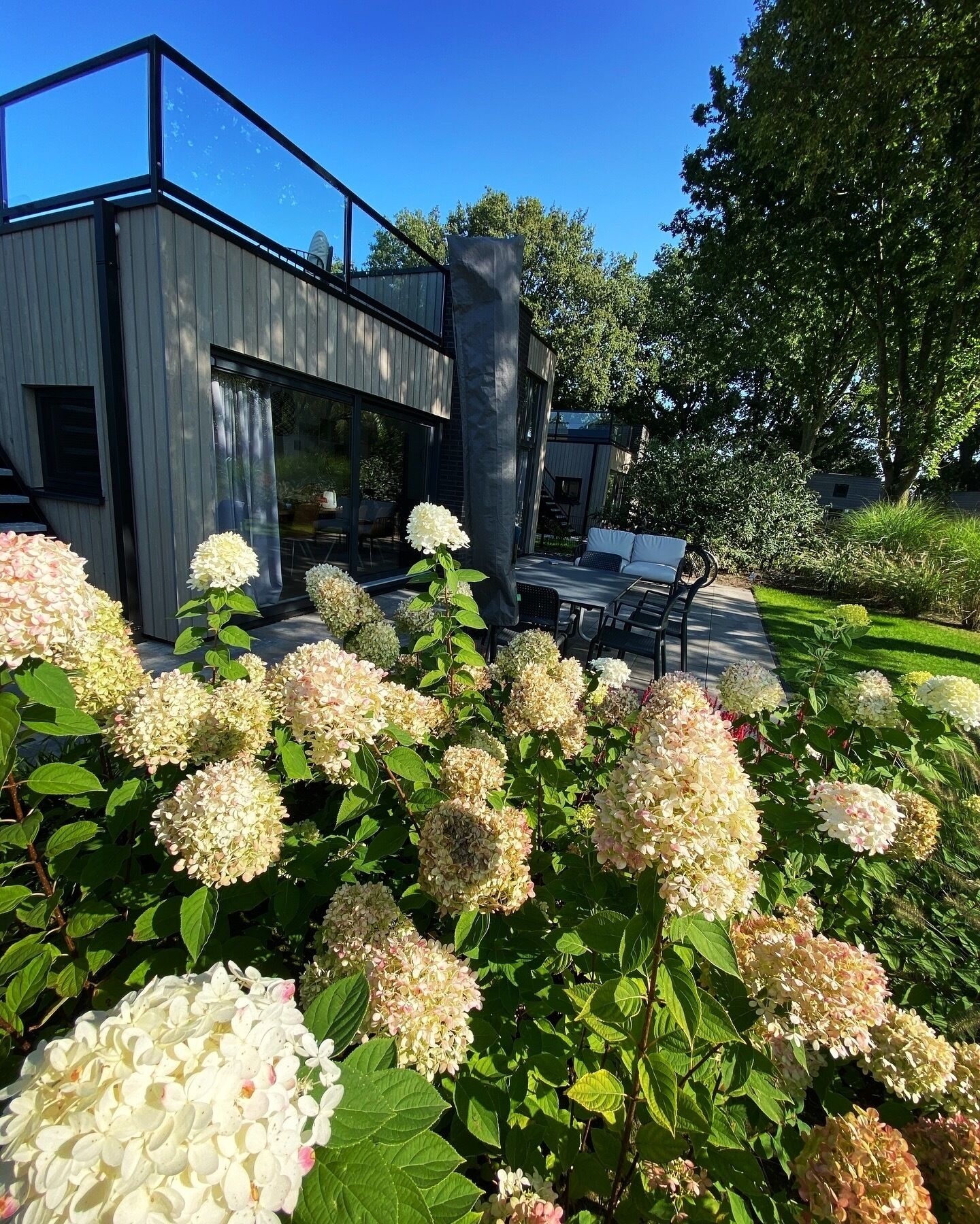 Un bâtiment moderne doté de grandes fenêtres et d’un balcon donnant sur un jardin où poussent des hortensias.