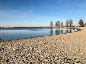 En sandstrand med stilla vatten, träd och en klar himmel.
