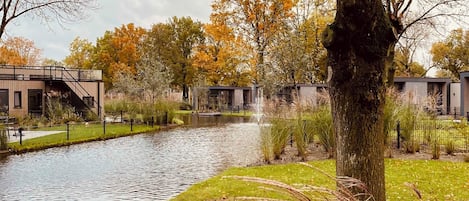 A riverside walkway with a wooden deck, surrounded by trees and a small bridge.