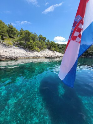 Divers