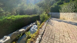 A paved pathway alongside a water feature with rocks and plants, surrounded by greenery and a stone wall. - Amazing villa 10 min to Monaco (Roquebrune-Cap-Martin)