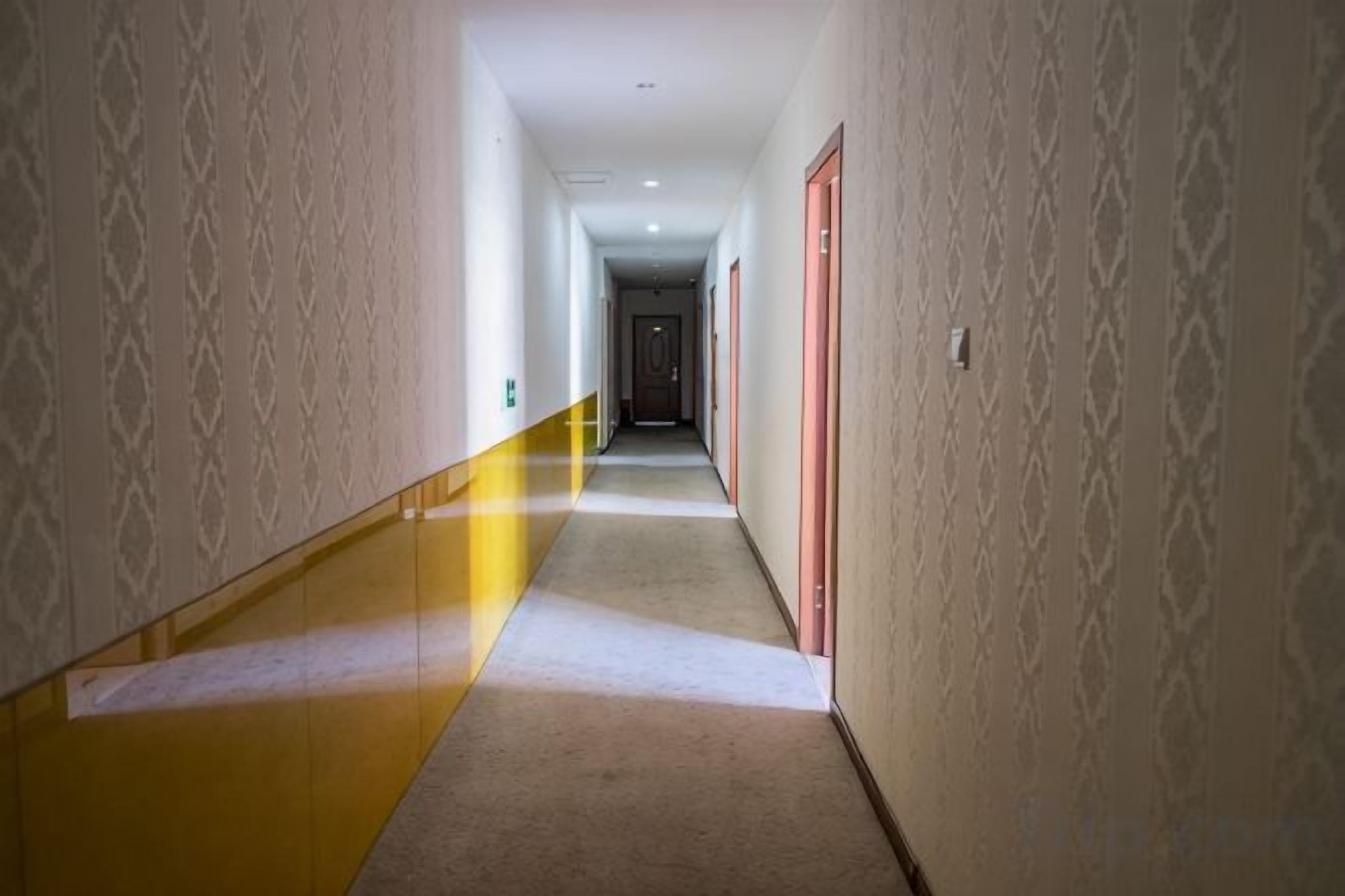 A long, narrow hallway with patterned walls and a carpeted floor.