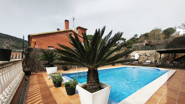 A rooftop swimming pool with a palm tree, potted plants, and a stone wall in the background. - Villa with a private pool, 25 minutes from Barcelona (Vallromanes), near the F1 circuit (Vallromanes)