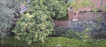 Luxury villa in residence in Sicily 