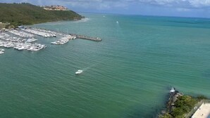 Un puerto deportivo con numerosas embarcaciones amarradas, un pueblo costero al fondo y un cielo despejado.