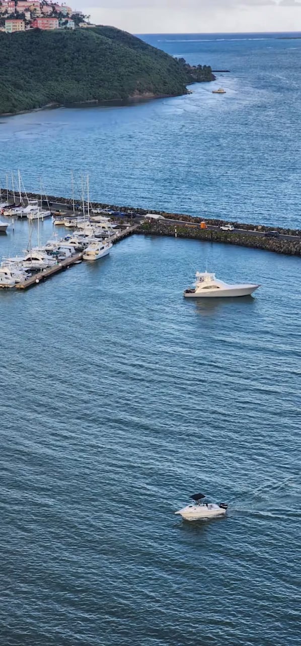 Marina