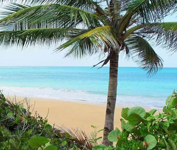 Plage