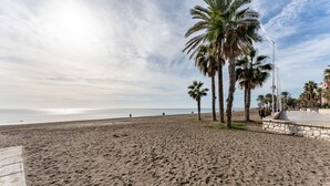 Une plage de sable avec des palmiers et un mur de pierre.
