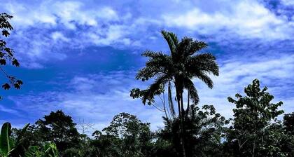 Pura Chata Ecolodge
