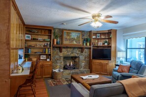 Smart-tv, eldstad och böcker