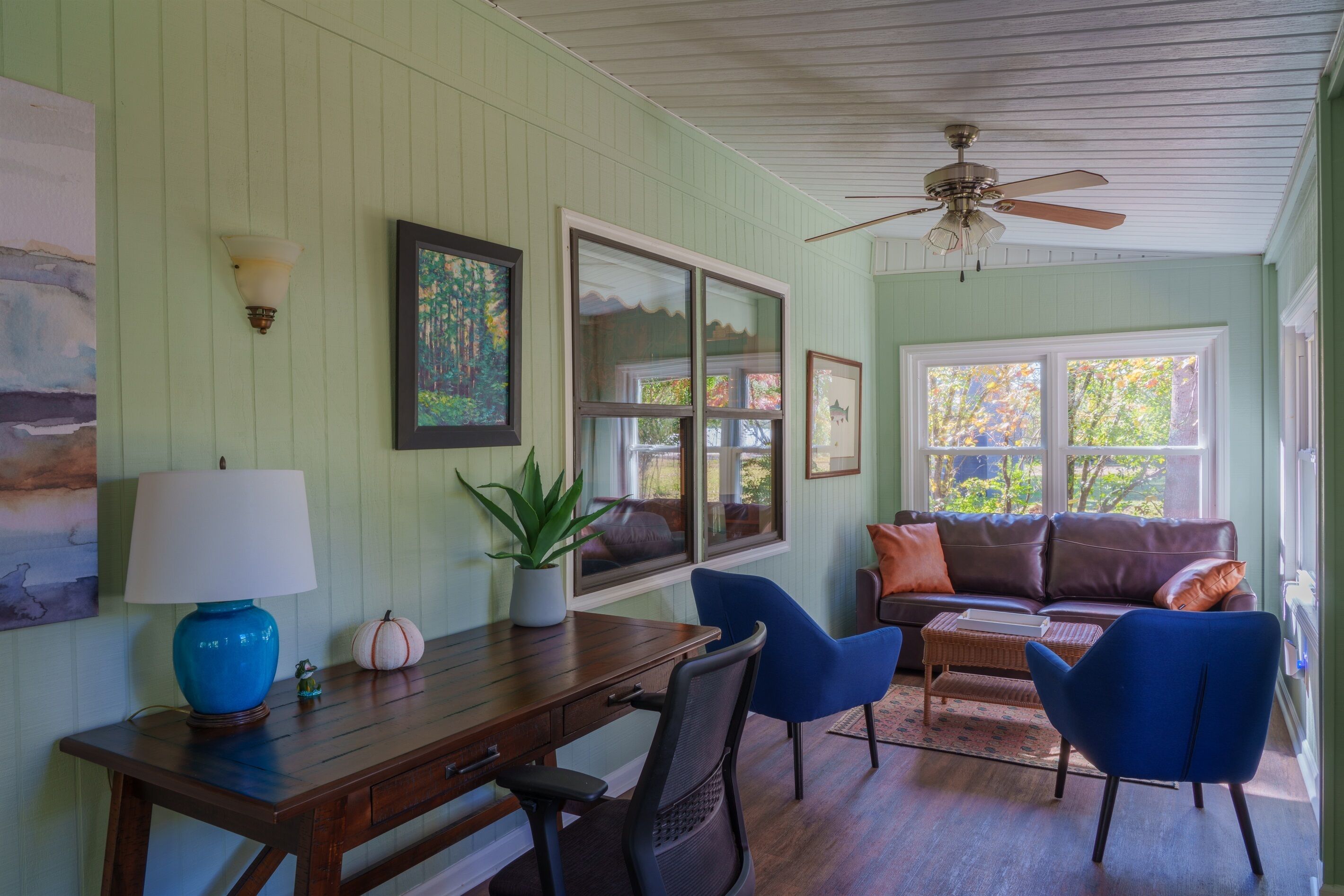 TV connectée, cheminée, livres