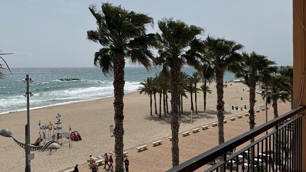 Un balcon avec vue sur une plage, des palmiers et l’océan.
