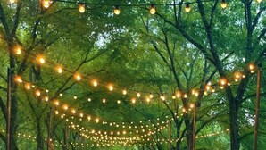 An outdoor dining area with tables set for a meal, surrounded by trees and string lights.