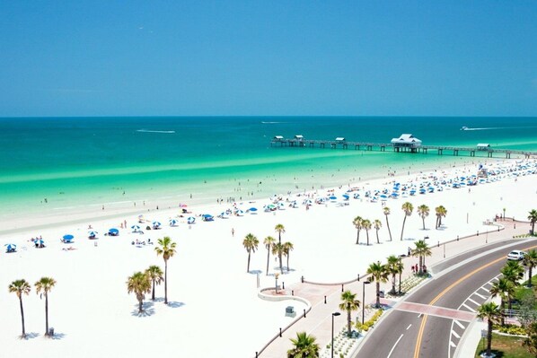 A beach with a pier, palm trees, and a road curving around the beach.
