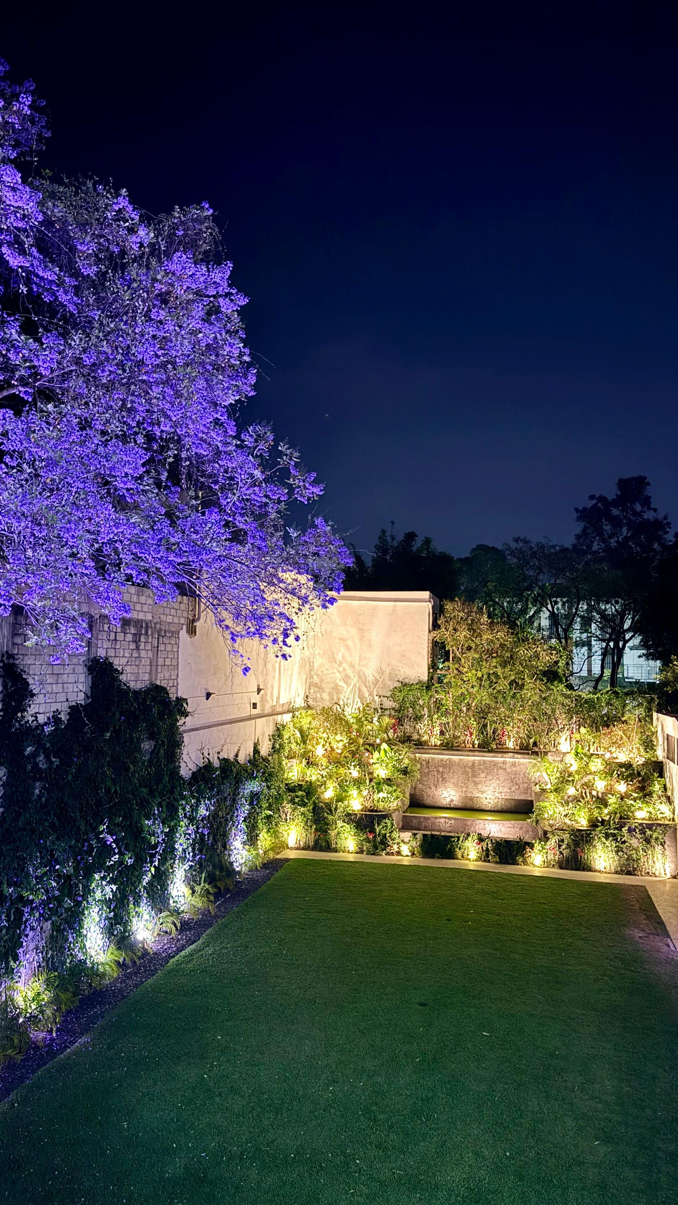 Un jardín ajardinado con césped cuidado, diversas plantas y un gran árbol con flores moradas.