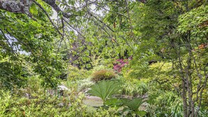 Un exuberante jardín con diversas plantas y árboles.