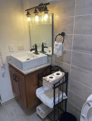 Regadera y secadora de cabello 