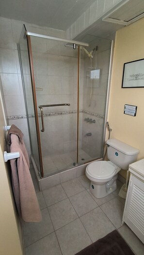 Dusche, Haartrockner, Handtücher, Seife