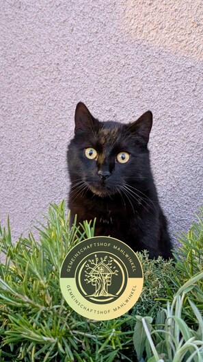 Pet-friendly - Gemeinschaftshof Mahlwinkel (Angern)