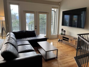 Smart TV, fireplace, stereo, computer monitors