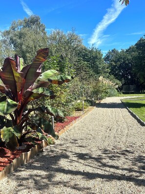 Property grounds - Magnificent Studio Pool and SPA (Lavau-sur-Loire)