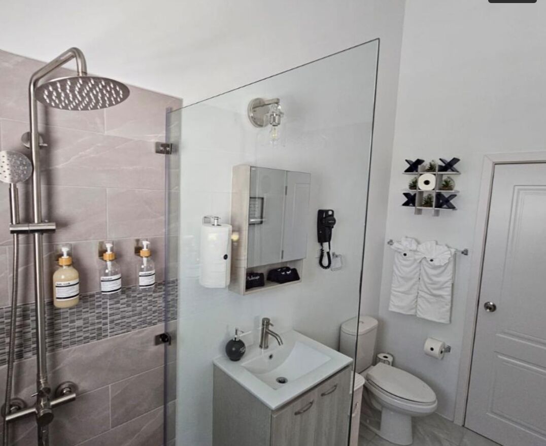 Hair dryer, towels, soap, shampoo