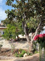 Televisión 43 pulgadas con canales de televisión por cable