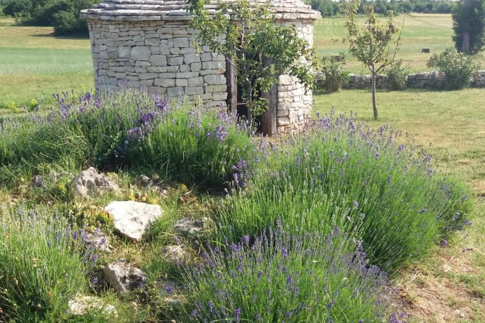 Authentic Istrian Rooms for Unforgettable Stays