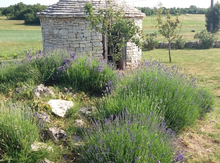 Exterior. Authentic Istrian Rooms for Unforgettable Stays
