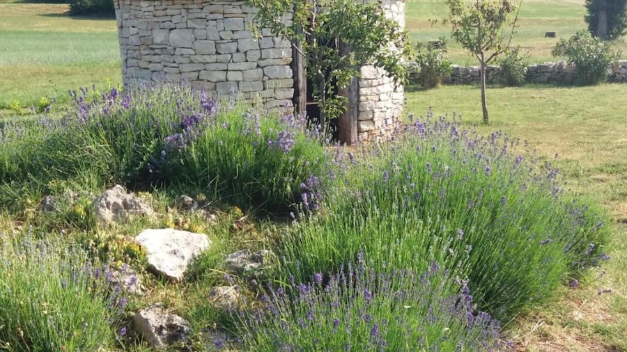 Authentic Istrian Rooms for Unforgettable Stays