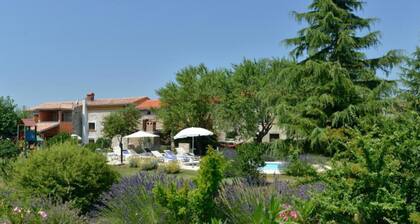 Authentic Istrian Holiday Home for Unforgettable Stays