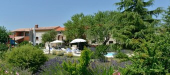 Authentic Istrian Holiday Home for Unforgettable Stays