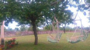 A tree with two hanging swings in a grassy area.
