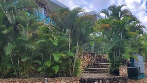 A staircase surrounded by lush tropical foliage leading to a building with a stone wall. - Luxurious 1-bedroom condo in Sosúa with AC, WiFi, Backyard, Terrace, and Balcony (Sosúa)