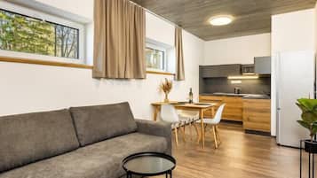 Apartemen Klasik | Area keluarga | TV layar datar