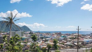 A coastal cityscape with a mix of residential and commercial buildings, a prominent palm tree, and a mountain in the background. - Timbos Apartelle (Roseau)