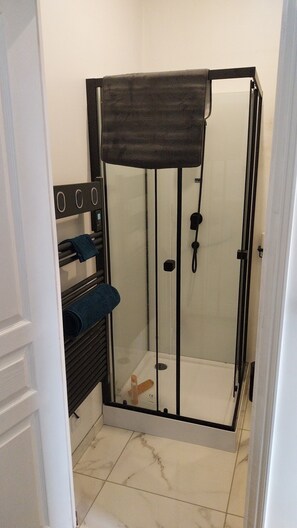 Hair dryer, towels, soap, toilet paper