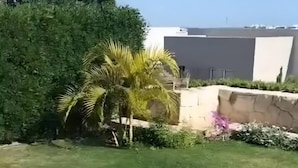 Immagine non classificata, 3 di 22, pulsante