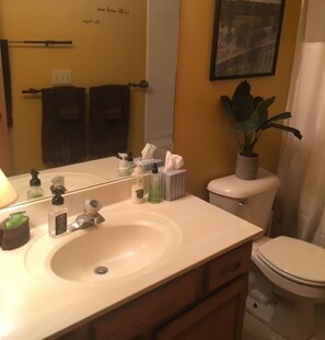 A bathroom with a sink, mirror, toiletries, a toilet, and a plant. - Golf course condo, 10 min to Torch Lake, w/pool, hot tub and sauna! (Mancelona)
