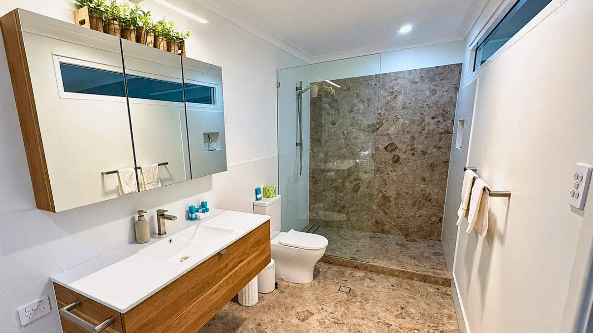 Shower, hair dryer, towels