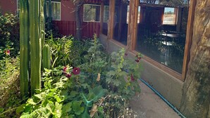 A building with large windows, a garden with cacti and plants, and a wooden exterior. - hostal qachisolcor (San Pedro de Atacama)